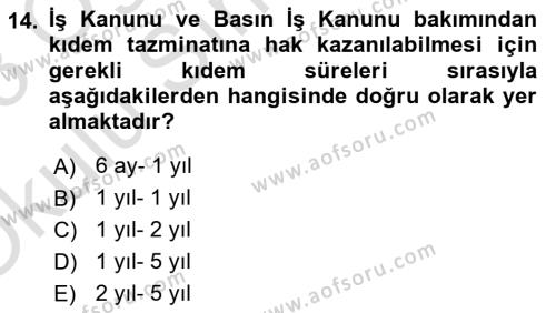 Temel İş Hukuku Dersi 2022 - 2023 Yılı Yaz Okulu Sınavı 14. Soru