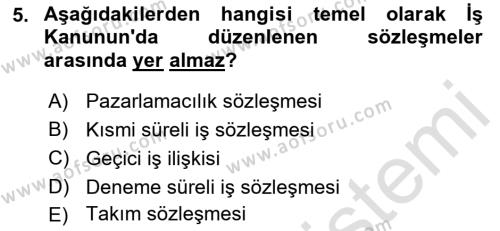 Temel İş Hukuku Dersi 2022 - 2023 Yılı Yaz Okulu Sınavı 5. Soru