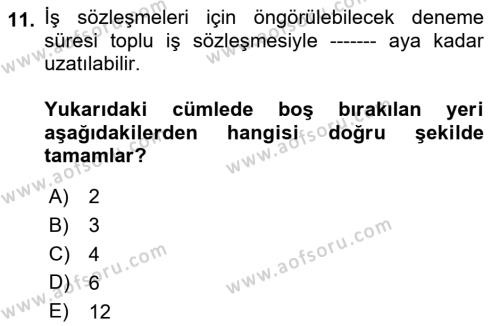 Temel İş Hukuku Dersi 2023 - 2024 Yılı (Vize) Ara Sınavı 11. Soru