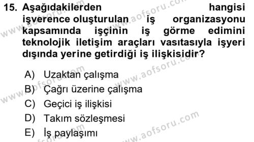 Temel İş Hukuku Dersi 2023 - 2024 Yılı (Vize) Ara Sınavı 15. Soru