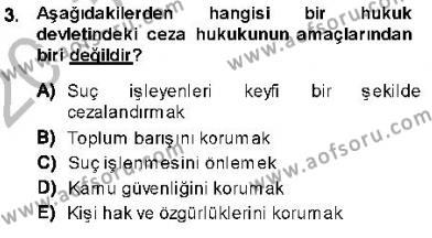 Ceza Hukukuna Giriş Dersi 2013 - 2014 Yılı (Vize) Ara Sınavı 3. Soru