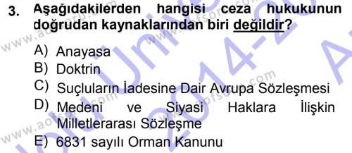 Ceza Hukukuna Giriş Dersi 2014 - 2015 Yılı (Vize) Ara Sınavı 3. Soru