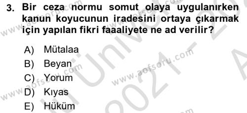 Ceza Hukukuna Giriş Dersi 2021 - 2022 Yılı (Vize) Ara Sınavı 3. Soru