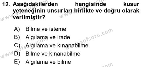 Ceza Hukukuna Giriş Dersi 2021 - 2022 Yılı Yaz Okulu Sınavı 12. Soru