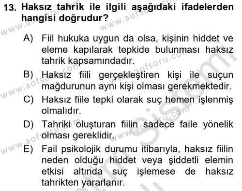 Ceza Hukukuna Giriş Dersi 2021 - 2022 Yılı Yaz Okulu Sınavı 13. Soru