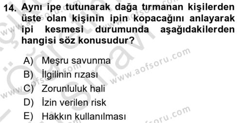 Ceza Hukukuna Giriş Dersi 2021 - 2022 Yılı Yaz Okulu Sınavı 14. Soru