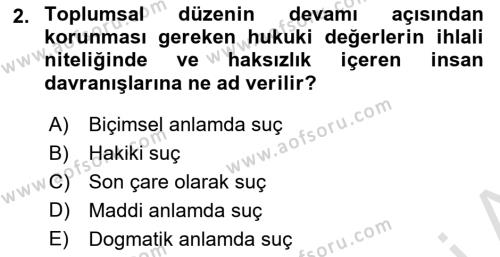 Ceza Hukukuna Giriş Dersi 2021 - 2022 Yılı Yaz Okulu Sınavı 2. Soru