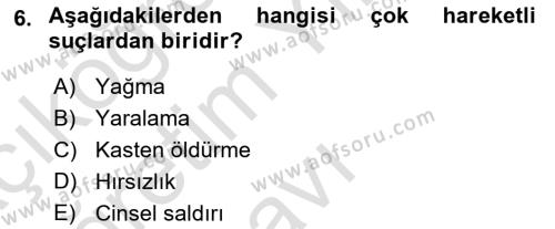 Ceza Hukukuna Giriş Dersi 2021 - 2022 Yılı Yaz Okulu Sınavı 6. Soru