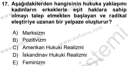 Uluslararası Hukuk 1 Dersi 2024 - 2025 Yılı (Vize) Ara Sınavı 17. Soru