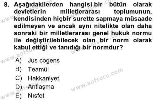 Uluslararası Hukuk 1 Dersi 2024 - 2025 Yılı (Vize) Ara Sınavı 8. Soru