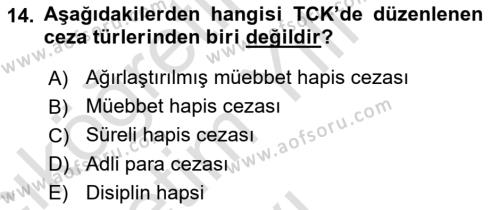 Ceza Hukuku Bilgisi Dersi 2022 - 2023 Yılı Yaz Okulu Sınavı 14. Soru