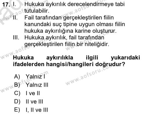 Ceza Hukuku Bilgisi Dersi 2023 - 2024 Yılı (Vize) Ara Sınavı 17. Soru