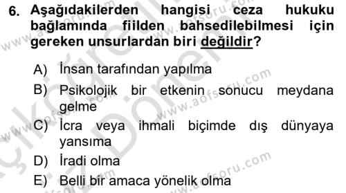 Ceza Hukuku Bilgisi Dersi 2023 - 2024 Yılı (Vize) Ara Sınavı 6. Soru