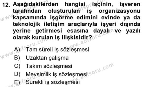 Bireysel İş Hukuku Dersi 2022 - 2023 Yılı (Vize) Ara Sınavı 12. Soru