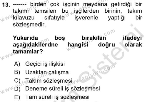 Bireysel İş Hukuku Dersi 2022 - 2023 Yılı (Vize) Ara Sınavı 13. Soru