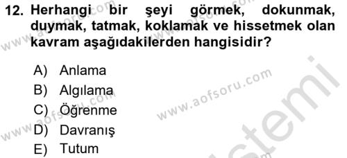 Bireysel İş Hukuku Dersi 2022 - 2023 Yılı Yaz Okulu Sınavı 12. Soru