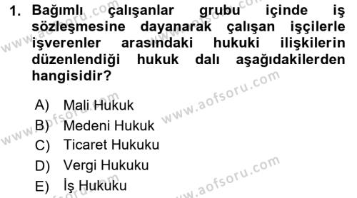 Bireysel İş Hukuku Dersi 2023 - 2024 Yılı (Vize) Ara Sınavı 1. Soru