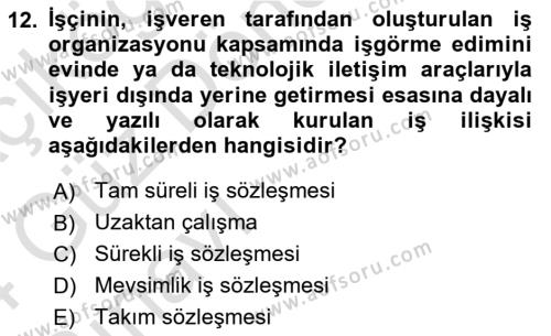 Bireysel İş Hukuku Dersi 2023 - 2024 Yılı (Vize) Ara Sınavı 12. Soru