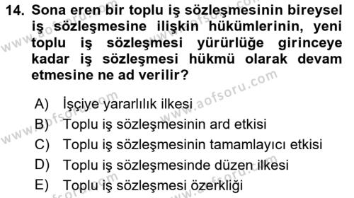 Toplu İş Hukuku Dersi 2020 - 2021 Yılı Yaz Okulu Sınavı 14. Soru