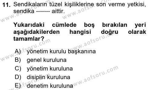 Toplu İş Hukuku Dersi 2021 - 2022 Yılı (Vize) Ara Sınavı 11. Soru