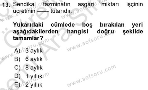 Toplu İş Hukuku Dersi 2021 - 2022 Yılı (Vize) Ara Sınavı 13. Soru