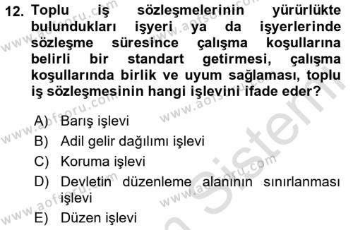 Toplu İş Hukuku Dersi 2021 - 2022 Yılı (Final) Dönem Sonu Sınavı 12. Soru