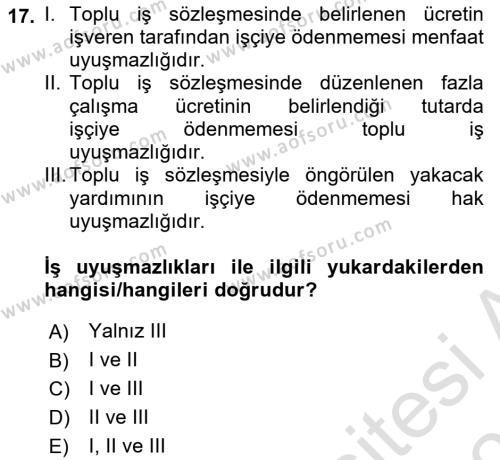 Toplu İş Hukuku Dersi 2021 - 2022 Yılı (Final) Dönem Sonu Sınavı 17. Soru