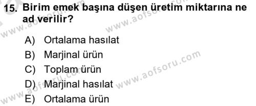 İktisada Giriş Dersi 2023 - 2024 Yılı (Vize) Ara Sınavı 15. Soru