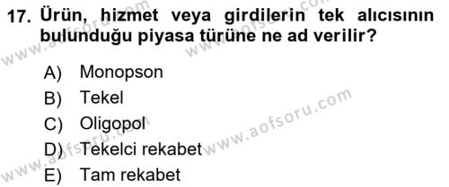 İktisada Giriş Dersi 2023 - 2024 Yılı (Vize) Ara Sınavı 17. Soru