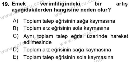 İktisada Giriş Dersi 2023 - 2024 Yılı (Final) Dönem Sonu Sınavı 19. Soru