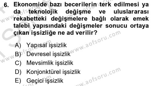 İktisada Giriş Dersi 2023 - 2024 Yılı (Final) Dönem Sonu Sınavı 6. Soru