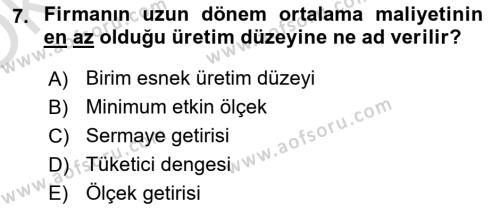 İktisada Giriş Dersi 2023 - 2024 Yılı Yaz Okulu Sınavı 7. Soru