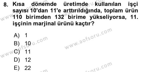 İktisada Giriş Dersi 2023 - 2024 Yılı Yaz Okulu Sınavı 8. Soru