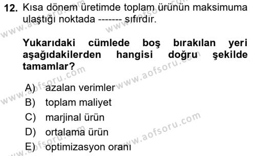 İktisada Giriş Dersi 2024 - 2025 Yılı (Vize) Ara Sınavı 12. Soru