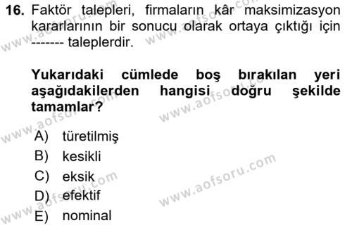 İktisada Giriş Dersi 2024 - 2025 Yılı (Vize) Ara Sınavı 16. Soru