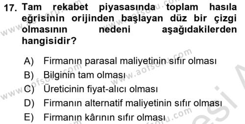 İktisada Giriş Dersi 2024 - 2025 Yılı (Vize) Ara Sınavı 17. Soru