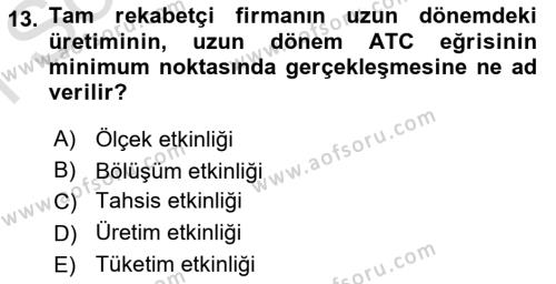 İktisada Giriş 1 Dersi 2021 - 2022 Yılı (Final) Dönem Sonu Sınavı 13. Soru