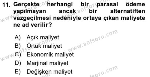 İktisada Giriş 1 Dersi 2021 - 2022 Yılı Yaz Okulu Sınavı 11. Soru