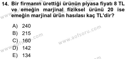 İktisada Giriş 1 Dersi 2021 - 2022 Yılı Yaz Okulu Sınavı 14. Soru