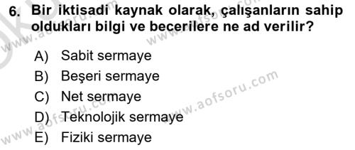 İktisada Giriş 1 Dersi 2021 - 2022 Yılı Yaz Okulu Sınavı 6. Soru