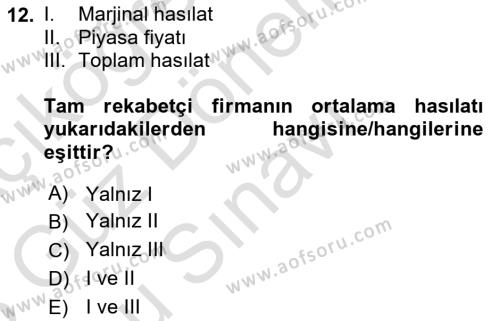 İktisada Giriş 1 Dersi 2022 - 2023 Yılı (Final) Dönem Sonu Sınavı 12. Soru