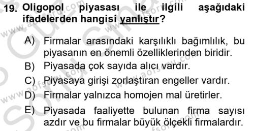 İktisada Giriş 1 Dersi 2022 - 2023 Yılı (Final) Dönem Sonu Sınavı 19. Soru