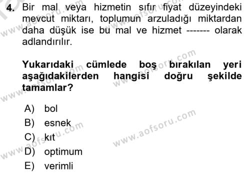 İktisada Giriş 1 Dersi 2022 - 2023 Yılı (Final) Dönem Sonu Sınavı 4. Soru