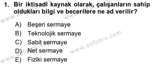 İktisada Giriş 1 Dersi 2023 - 2024 Yılı Yaz Okulu Sınavı 1. Soru