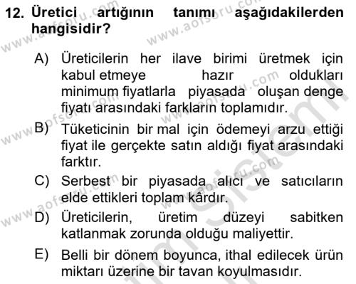 İktisada Giriş 1 Dersi 2023 - 2024 Yılı Yaz Okulu Sınavı 12. Soru