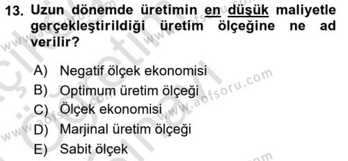 İktisada Giriş 1 Dersi 2023 - 2024 Yılı Yaz Okulu Sınavı 13. Soru