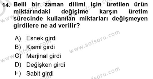 İktisada Giriş 1 Dersi 2023 - 2024 Yılı Yaz Okulu Sınavı 14. Soru