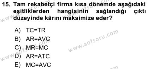 İktisada Giriş 1 Dersi 2023 - 2024 Yılı Yaz Okulu Sınavı 15. Soru