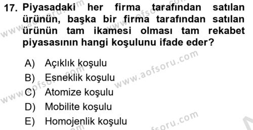 İktisada Giriş 1 Dersi 2023 - 2024 Yılı Yaz Okulu Sınavı 17. Soru