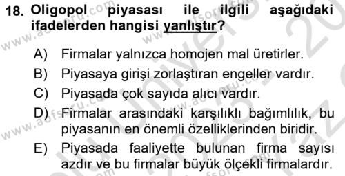 İktisada Giriş 1 Dersi 2023 - 2024 Yılı Yaz Okulu Sınavı 18. Soru